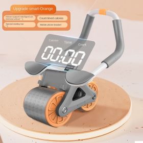 Ab Roller Wheel with Knee Mat &Timer, Automatic Rebound Abdominal Wheel, Ab Abdominal Exercise Roller with Elbow Support